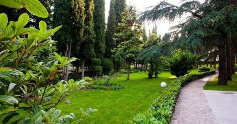 Təbiət ərazilərinin mühafizəsi üçün fondun formalaşdığı mənbələr artırılıb