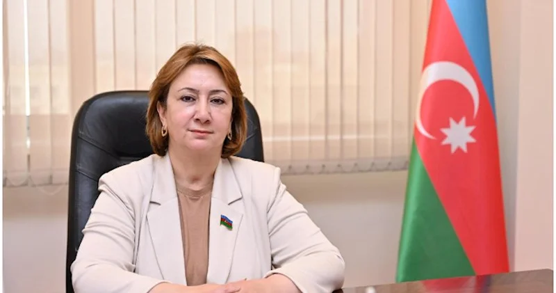 Potensiallı gənclər qəbuldan kənarda qala bilərlər Deputatdan AÇIQLAMA