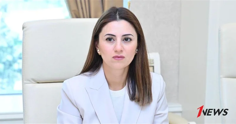 Заявление Президента Ильхама Алиева носит геополитическое и правовое значение