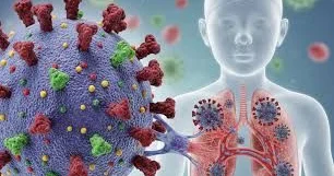 Yeni Hantavirusun müalicəsi varmı Antibiotik, yoxsa kovid dərmanları?