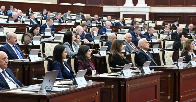 Kənd təsərrüfatı təyinatlı torpaqlardakı yaşıllıqlar hansı halda götürülə bilər? Yeni qanun layihəsi