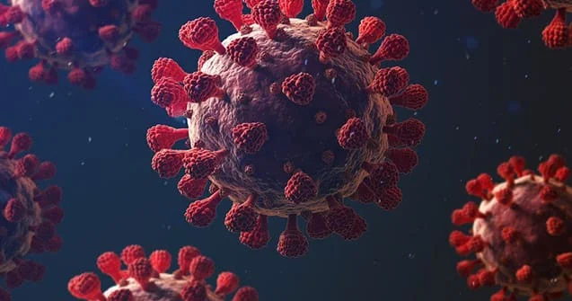 ÜST MV Hondius gəmisində aşkarlanan hantavirus hallarının sayını açıqlayıb