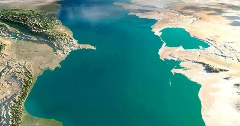 Xəzərin suyu çəkildi, bir bir üzə çıxdılar Sürünənlər oraya toplanacaqlar