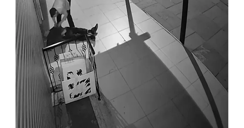 93 yaşlı kişini küçənin ortasında döyüb pullarını OĞURLADI Anbaan VİDEO