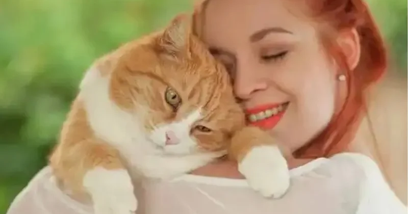 Sizi təəccübləndirə biləcək bəzi pişik davranışları