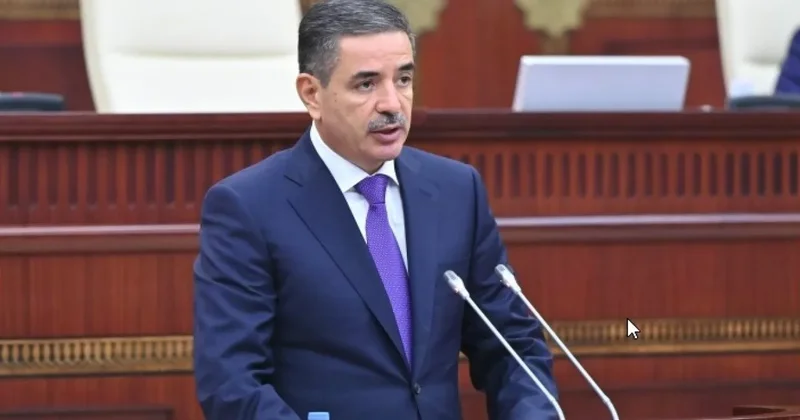 Daxili işlər nazirinin müavini Milli Məclisdə hesabat verdi YENİLƏNİB