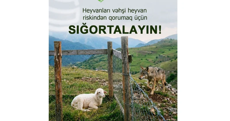 Aqrar Sığorta Fondu vəhşi heyvan hücumları ilə bağlı fermerlərə müraciət edib