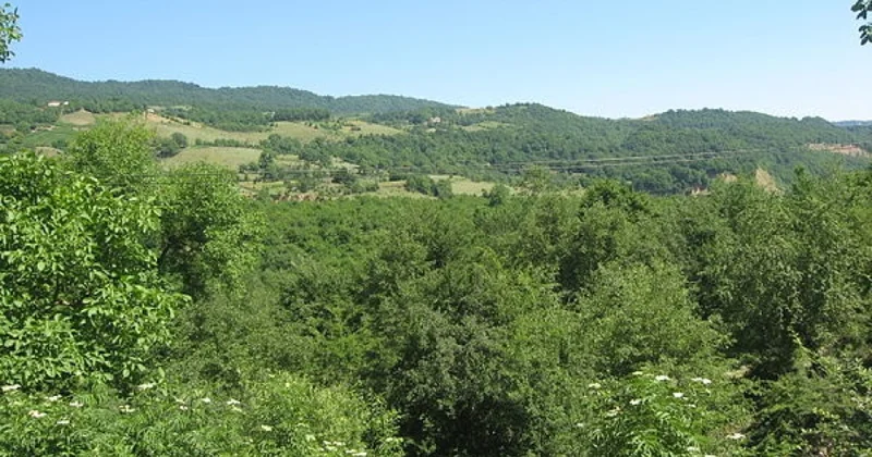 Azərbaycanın bitki örtüyündə “səhra” və “psevdomakki” tipləri elmi cəhətdən sübut edilib tədqiqat