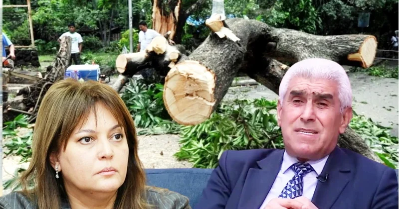 Ekologiyanın qorunması çağırışlarla düzələsi məsələ deyil EKOLOQ