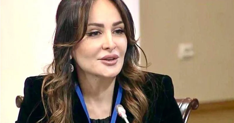 Qarabağ və Şərqi Zəngəzur yeni iqtisadi, geosiyasi güc platformasına çevrilir ŞƏRH