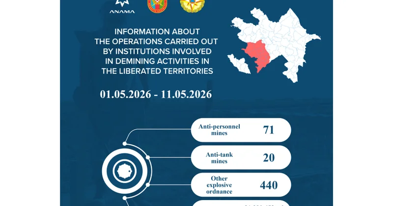 ANAMA: Обезврежены 91 мина и 440 других взрывоопасных боеприпасов