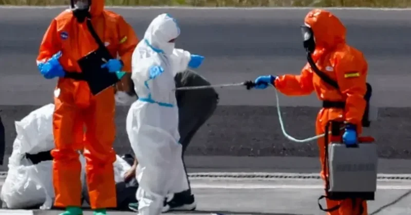 Avropanın daha bir ölkəsində hantavirusa yoluxma rəsmən təsdiqləndi