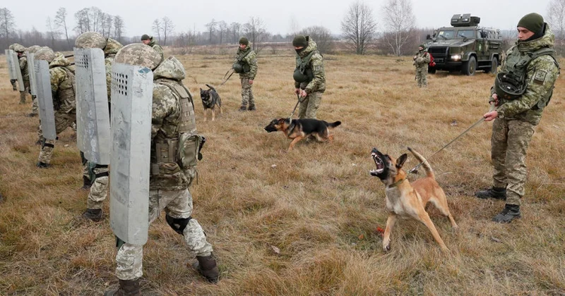 Ukrayna sərhədçiləri hantavirusdan ölüblər