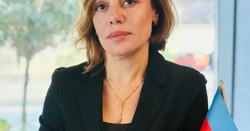 Uğurlu sahibkar panika ilə yox, analizlə hərəkət edir