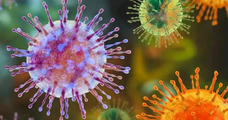 Hantavirus aşkarlanan gəmidən təxliyə edilən sərnişinin hərəkəti gündəm oldu FOTO