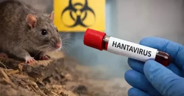 Hantavirus Azərbaycana gəlib? Nazirlikdən AÇIQLAMA