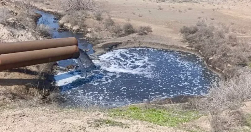 В Узбекистане завод дорого заплатит за ущерб экологии