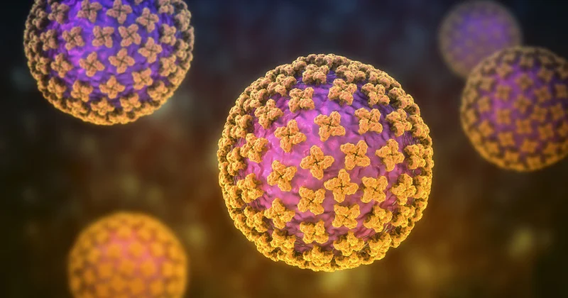ÜST: Hantavirusla bağlı böyük epidemiya əlaməti yoxdur
