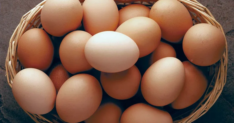 Yumurta ilə əlaqəli salmonella epidemiyası