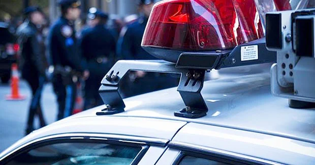 Kovboy Kodin barada tülkü buraxıb, heyvan insanı dişləyib Polis