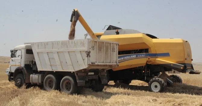 Azərbaycanda 400 tonadək arpa və buğda yığılıb