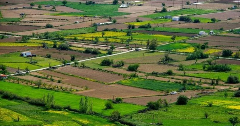 Torpaq sahələrinin icarəyə verilməsinə dair yeni qaydalar