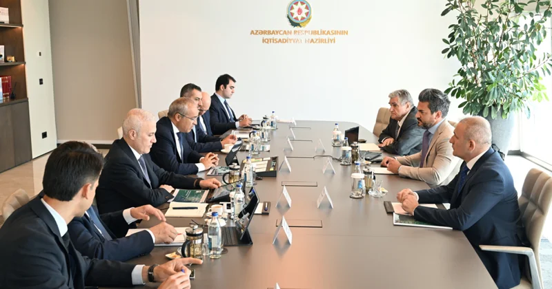 Fransa şirkəti ilə alüminium sənayesi üzrə əməkdaşlıq müzakirə olunub