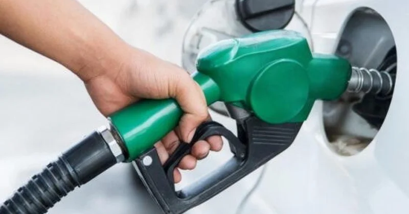“Billur Petrol” işçilərin hüquqlarını pozdu Şirkətin rəhbəri cəzalandırıldı