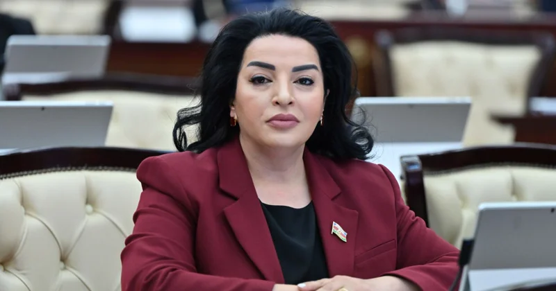Qurtuluş məfkurəsi Azərbaycanın müasir inkişafının təməlidir ŞƏRH