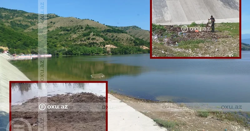 İsmayıllıda su anbarı ətrafına peyin və zibil töküldü: Üfunətdən dayanmaq mümkün deyil