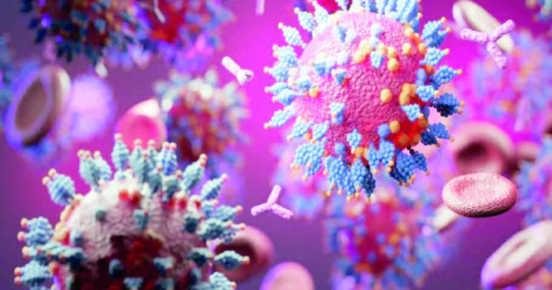 “Nimbus” “Korona”dan daha yoluxucu virus