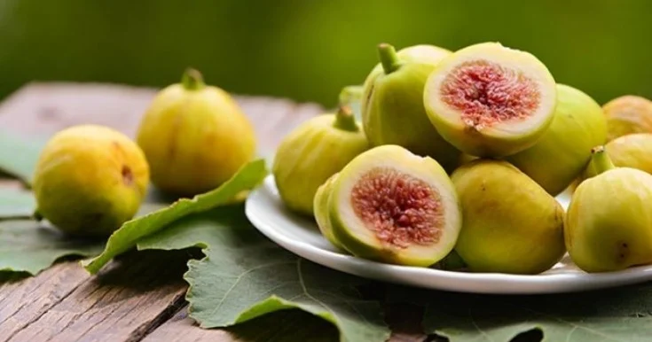 Mədənin dostu, virusun düşməni