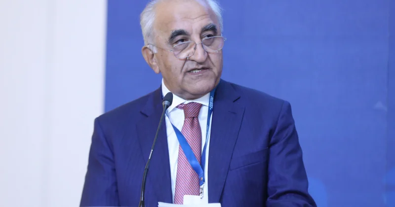 Professor Ədalət Muradov: Ölkə üzrə vahid plagiat sisteminin yaradılmasına ehtiyac var