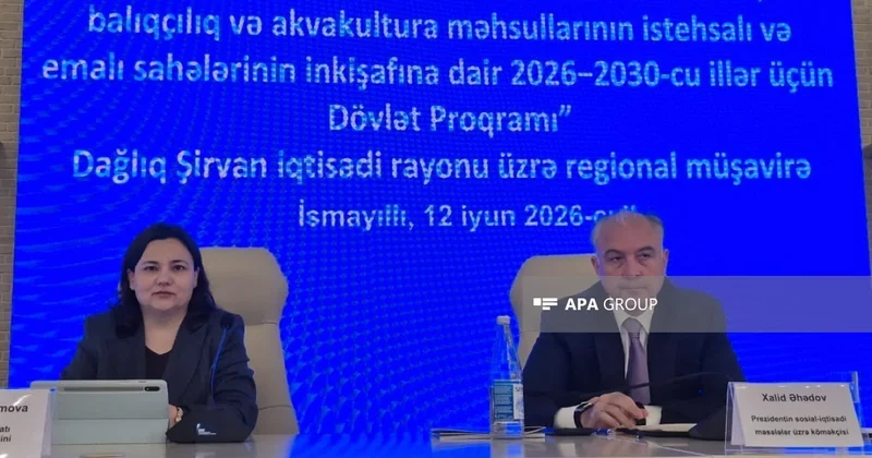 Nazir müavini: Dövlət Proqramında buğda istehsalı üzrə 22 rayon hədəf rayon kimi müəyyən edilib