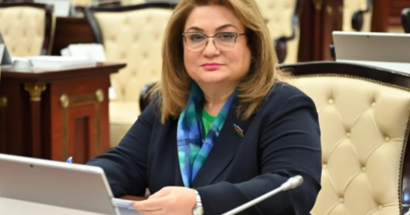 Məqsəd uşaqları kibertəhdidlərdən və zərərli məzmundan qorumaqdır Hicran Hüseynova