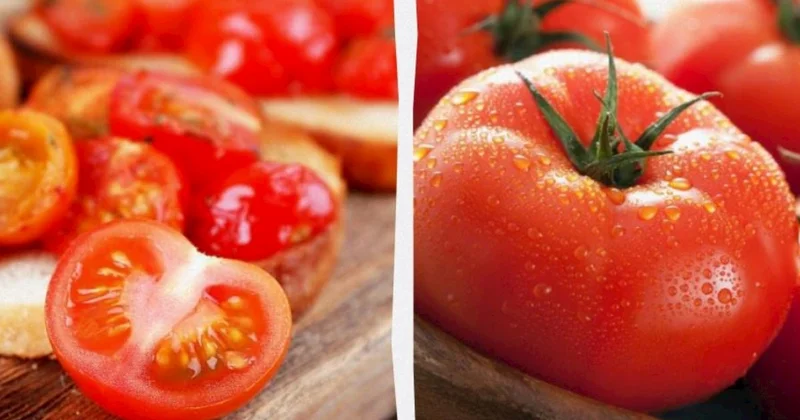 Pomidoru soyuducuda saxlamaq lazımdırmı?