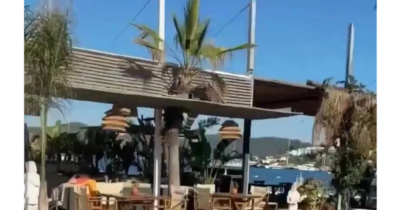 Bir zamanların turizm cənnəti Bodrumda indi it ulayır VİDEO