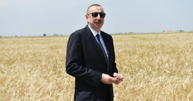 С любовью к ЗЕМЛЕ КОРМИЛИЦЕ