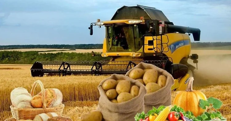 Kənd əhalisinin gəlirləri arta və yaşayış səviyyəsi yaxşılaşa bilər İqtisadçı