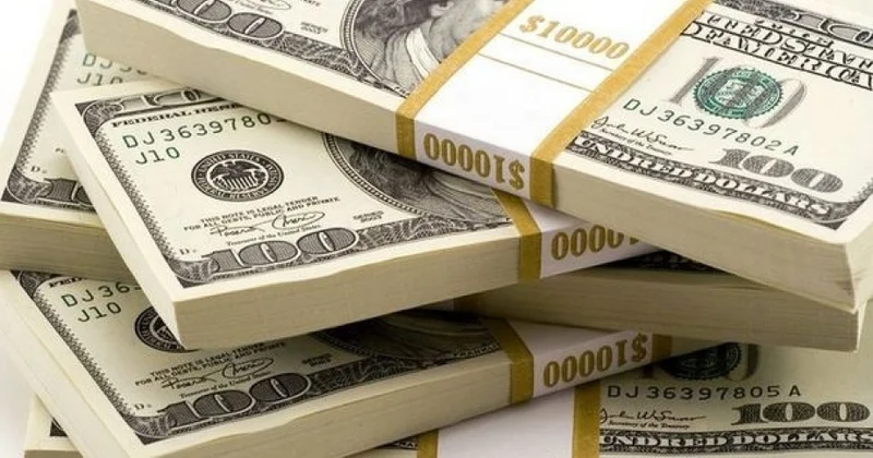 Mərkəzi Bankının valyuta ehtiyatlarının 90% dən çoxu dollarladır