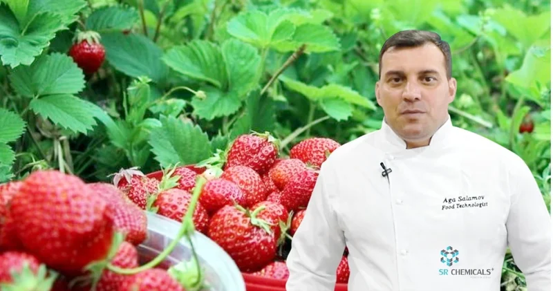 Allergiyası olanlar çiyələk yeməməlidir Qida məsələləri üzrə ekspert