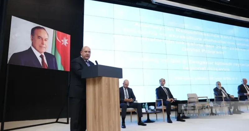 Qarabağda üç layihə prioritet olacaq Prezidentin xüsusi nümayəndəsi