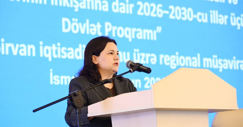Azərbaycanda buğda istehsalı üzrə hədəflərə çatmaq üçün nəzərdə tutulan tədbirlər açıqlanıb