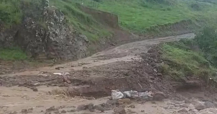 Неблагоприятная погода привела к ряду последствий в Дашкесане