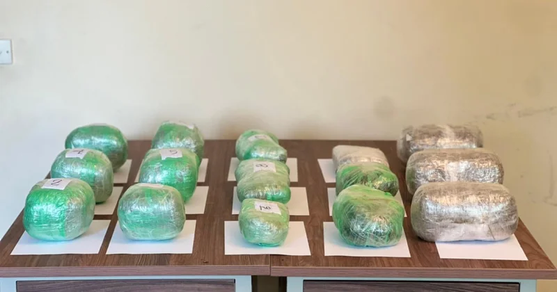 Külli miqdarda narkotik vasitənin PUA vasitəsilə İrandan Azərbaycana keçirilməsinin qarşısı alınıb