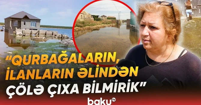 Məmmədlidə sakinlər kömək gözləyir Ərazidə zəhərli heyvanların peyda olduğu iddia edilir
