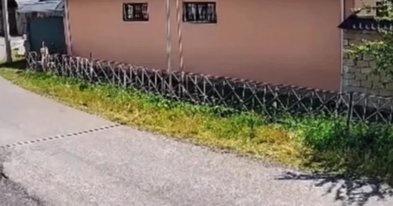 Qəbələdəki güclü zəlzələ kameralara bu cür düşdü Anbaan video