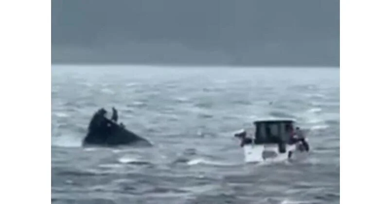 На Волге затонул плавучий дом ВИДЕО