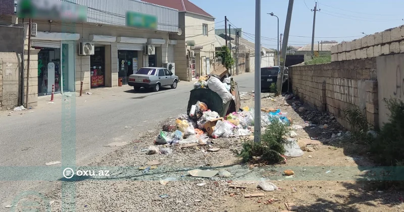 Masazırda zibil qabları dolub daşır, antisanitar vəziyyət yaranıb