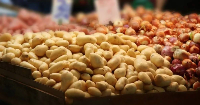 Kazakhstan sees first weekly halt in essential food price growth